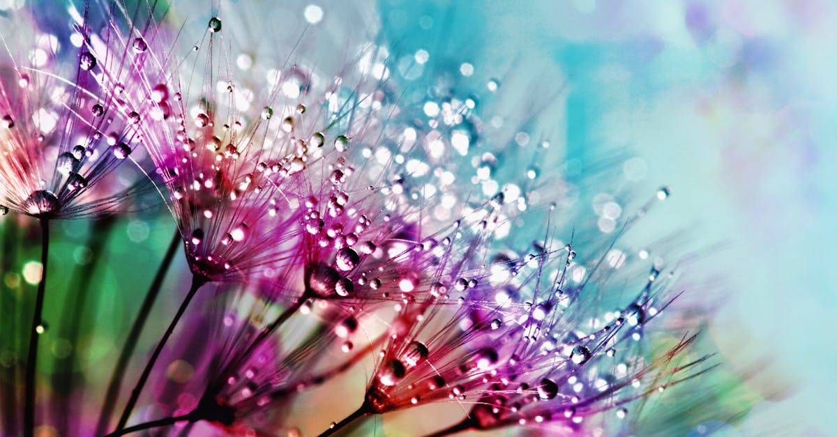 网站在线免费怎么做？从选模板到绑定域名的最短流程（附上线后 24h 复核清单）